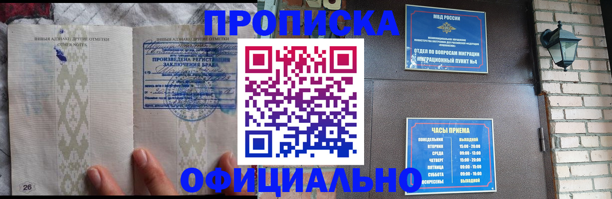 прописка поиск в Палласовке